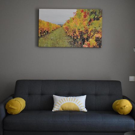 Hotel Coeur De Vignes Saint-Péray Pokoj fotografie